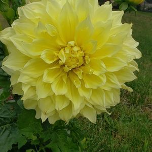 Meet your Posher, Colby